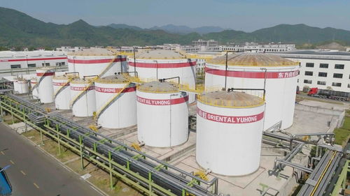 選瓷磚膠，認(rèn)準(zhǔn)自有工廠(chǎng) 品質(zhì)與信賴(lài)的堅(jiān)實(shí)保障